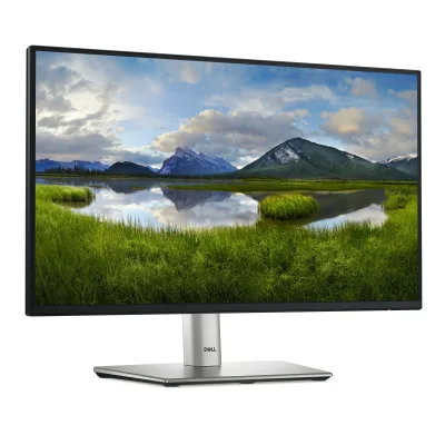 DL MONITOR 21.5" P2225H LED 1920x1080 "P2225H" (timbru verde 7 lei)