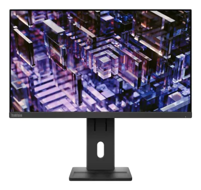 Lenovo ThinkVision E24q-30 23.8 inch Monitor "63ECGAT2EU" (timbru verde 7 lei)