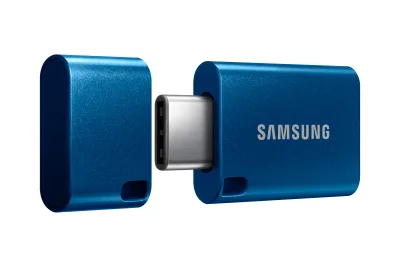 SAMSUNG USB Type-C 256GB 400MB/s USB 3.1 Flash Drive, "MUF-256DA/APC" (timbru verde 0.03 lei)