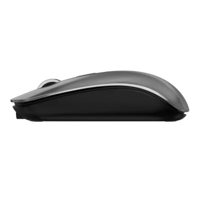 Devia Mouse Lingo Series Wireless, 2.4G Dual Mode, Gri