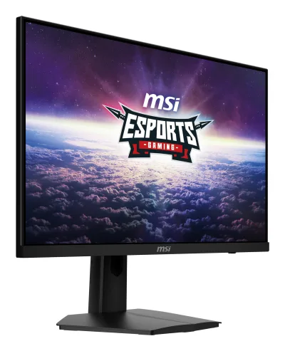 Monitor LED G244F E2, 23.8 inch, 1920 x 1080 pixeli,  180 Hz,  Negru "G244F E2" (timbru verde 7 lei)