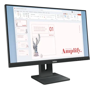 ThinkVision E24-40 23.8" IPS FHD HMDI 3Y "64BAMAT1EU" (timbru verde 7 lei)