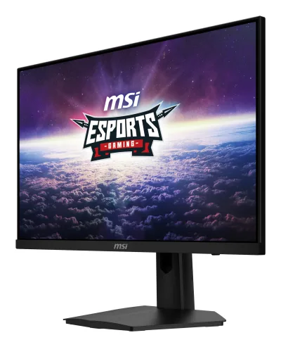 Monitor LED G244F E2, 23.8 inch, 1920 x 1080 pixeli,  180 Hz,  Negru "G244F E2" (timbru verde 7 lei)
