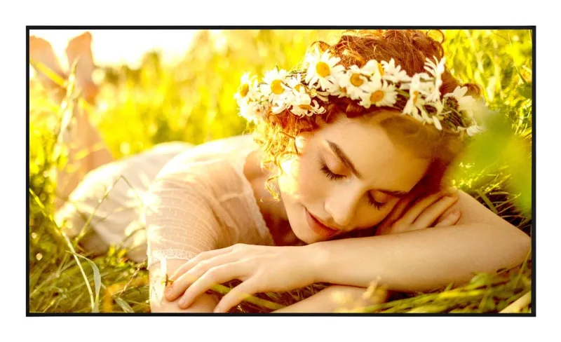 DISPLAY LCD 50" 4K/50UL5Q-E LG "50UL5Q-E" (timbru verde 15 lei)