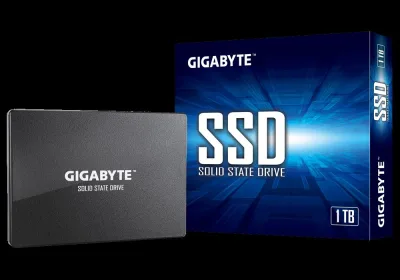 SSD intern GIGABYTE GP-GSTFS31100TNTD, 1 TB, SATA, 2.5 inch