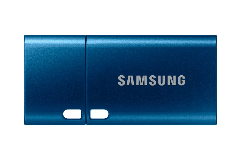 SAMSUNG USB Type-C 256GB 400MB/s USB 3.1 Flash Drive, "MUF-256DA/APC" (timbru verde 0.03 lei)