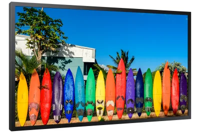Monitor Outdoor/Window Signage SAMSUNG 55"