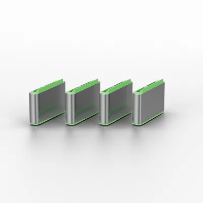 Lindy USB C Port Blockers, 10 bucati, material ABS, Green