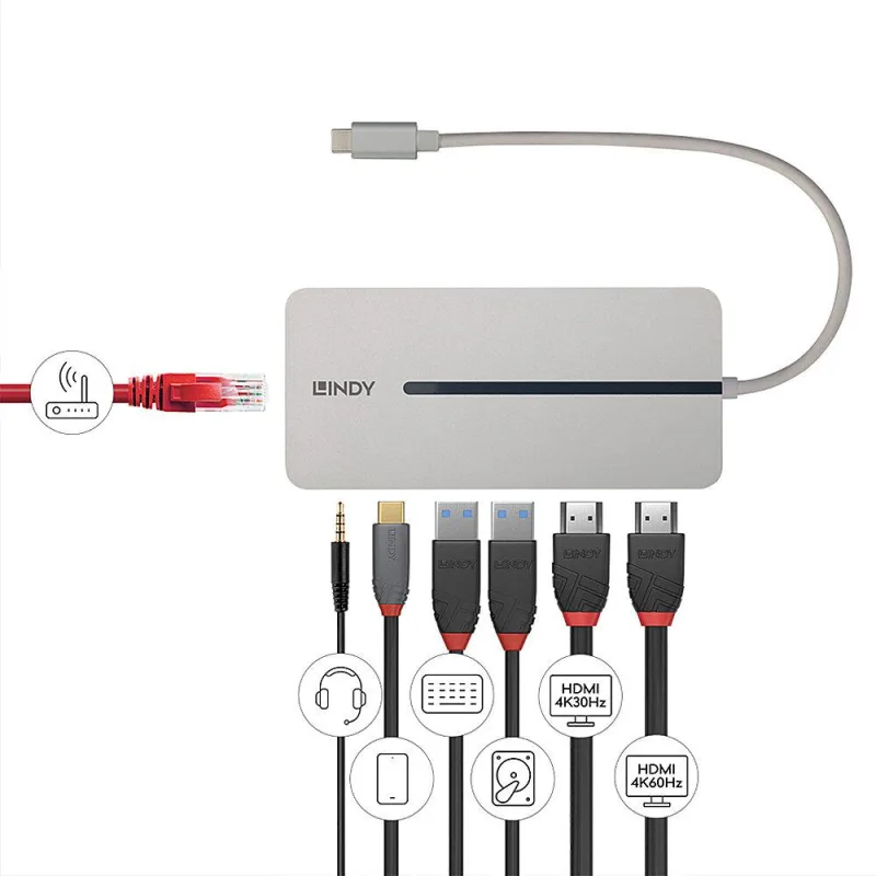 Hub USB LINDY DST-Mx Duo, USB-C, 10 porturi, HDMI, RJ-45, Argintiu