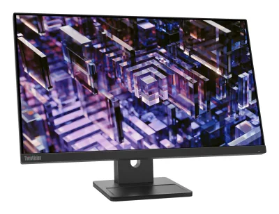 Lenovo ThinkVision E24q-30 23.8 inch Monitor "63ECGAT2EU" (timbru verde 7 lei)