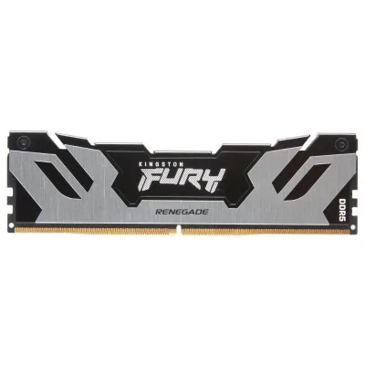 Memorie RAM Kingston FURY Renegade Silver, 16GB DDR5, 6400MHz, CL32