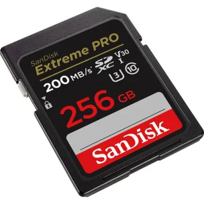 MEMORII. SD CARD Sandisk 256GB CL10 SDSDXXD-256G-GN4IN, "SDSDXXD-256G-GN4IN" (timbru verde 0.03 lei)