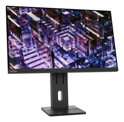 Lenovo ThinkVision E24q-30 23.8 inch Monitor "63ECGAT2EU" (timbru verde 7 lei)