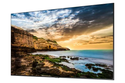 Monitor LED Professional monitor QE50T 50 inch  300(cd/m2) 3840x2160 (UHD) LH50QETELGCXEN Negru "LH50QETELGCXEN" (timbru verde 7 lei)