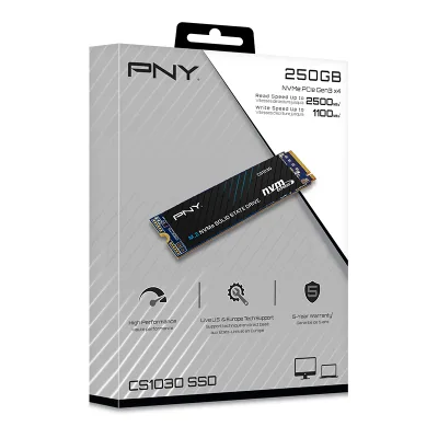 SSD CS1030, 250GB, PCI Express 3.0 x4, M.2 2280 "M280CS1030-250-RB"