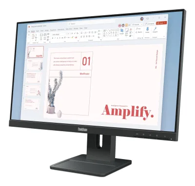 ThinkVision E24-40 23.8" IPS FHD HMDI 3Y "64BAMAT1EU" (timbru verde 7 lei)