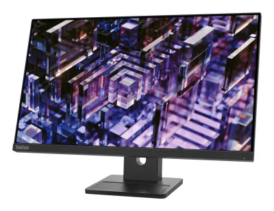 Lenovo ThinkVision E24q-30 23.8 inch Monitor "63ECGAT2EU" (timbru verde 7 lei)
