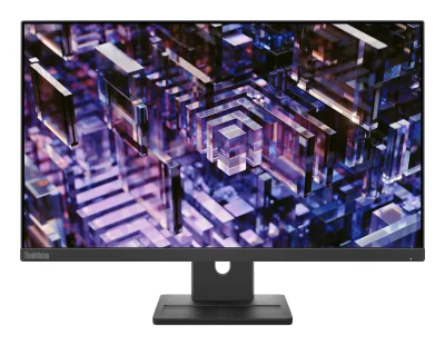 Lenovo ThinkVision E24q-30 23.8 inch Monitor "63ECGAT2EU" (timbru verde 7 lei)